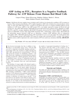 ADP Acting on P2Y13 Receptors Is a Negative Feedback Pathway