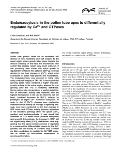 Endo/exocytosis in the pollen tube apex is differentially regulated by