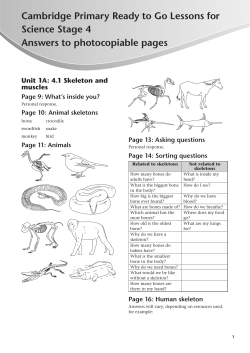 Ready to Go Lessons Stage 4 Answers