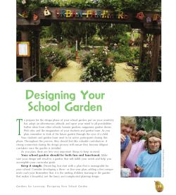 Designing Your School Garden - The Collective School Garden