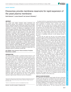 Eisosomes provide membrane reservoirs for rapid expansion of the