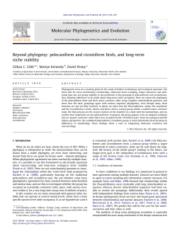 pelecaniform and ciconiiform birds, and long