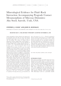 Mineralogical Evidence for Fluid&ndash;Rock
