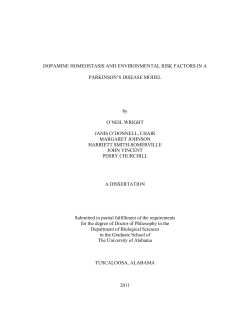Dopamine homeostasis and environmental risk factors