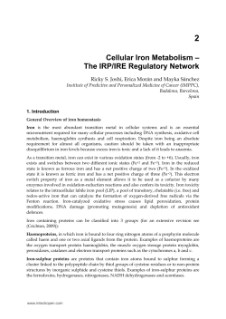 Cellular Iron Metabolism &ndash; The IRP/IRE Regulatory