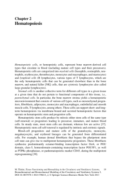 Hematopoiesis