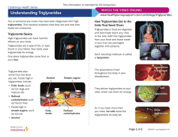 Understanding Triglycerides
