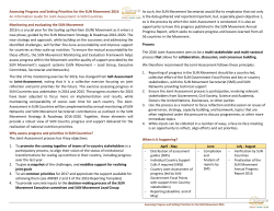 Assessing Progress and Setting Priorities for the SUN Movement
