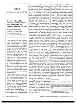 Presence of Mason-Pfizer Monkey Virus in Some Stocks of the