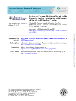 of Nucleic Acid Binding Proteins Promotes Nuclear Localization and
