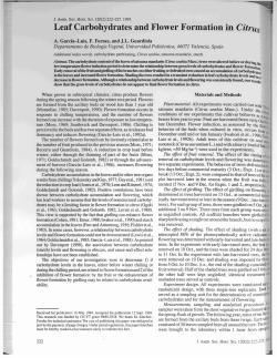 Leaf Carbohydrates and Flower Formation in Citrus