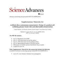 PDF - Science Advances