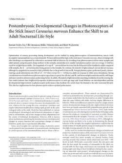Postembryonic Developmental Changes in Photoreceptors of the