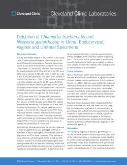 Detection of Chlamydia trachomatis and Neisseria gonorrhoeae in