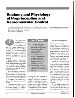 Anatomy and Physiology of Proprioception and ~eu