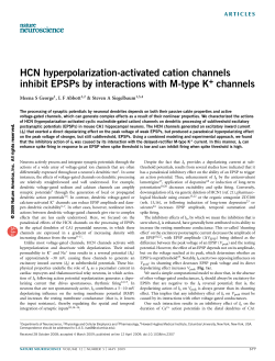 HCN hyperpolarization-activated cation channels inhibit EPSPs by