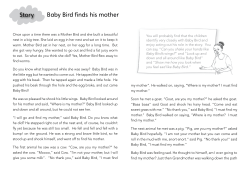 Story Baby Bird finds his mother