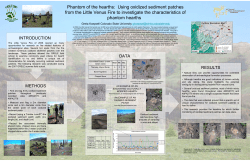 Phantom of the hearths: Using oxidized sediment patches