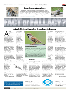 From dinosaurs to reptiles