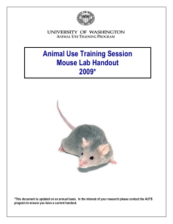 Forms_files/Mouse handout 2009