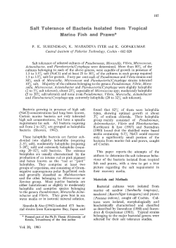 Salt tolerance of bacteria isolated from tropical marine fish and prawn