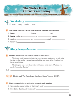 Story Comprehension