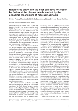 Nipah virus entry into the host cell does not occur