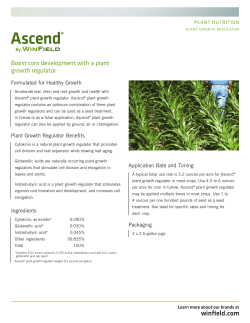 Boost corn development with a plant growth