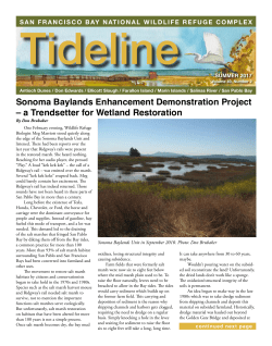 Sonoma Baylands Enhancement Demonstration Project &ndash; a