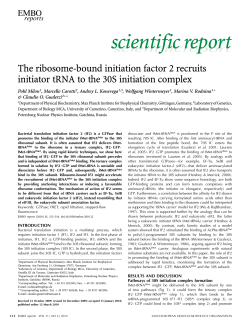 The ribosomebound initiation factor 2 recruits initiator tRNA to the