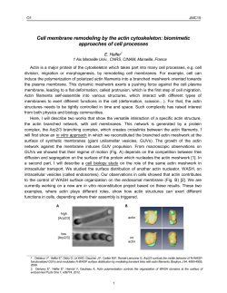 Cell membrane remodeling by the actin cytoskeleton