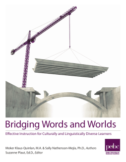 Bridging Words and Worlds