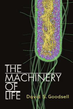 Chapter 2 Molecular Machines