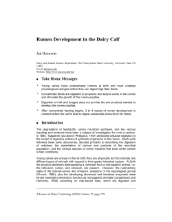 Rumen Development in the Dairy Calf