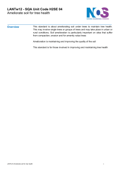 Ameliorate soil for tree health