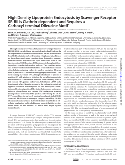 High Density Lipoprotein Endocytosis by Scavenger Receptor