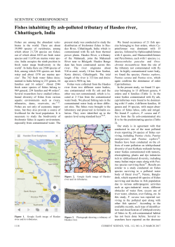 Fishes inhabiting fly ash-polluted tributary of Hasdeo river