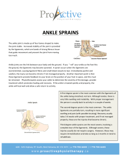 ankle sprains - ProActive Physiotherapy