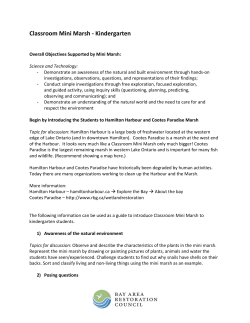 Classroom Mini Marsh