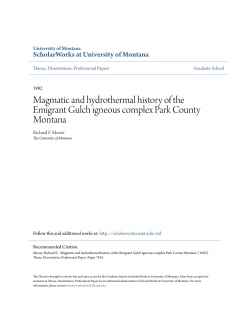 Magmatic and hydrothermal history of the Emigrant Gulch igneous