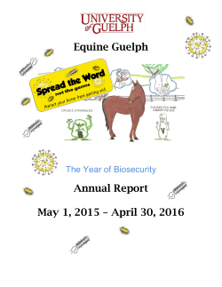 Equine Guelph Annual Report May 1, 2015 &ndash; April 30, 2016