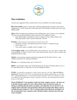 The Plan Men - Lyn