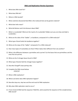 DNA and Replication Review Questions