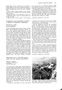 Symbiotic Relationships within a Mixed Waterfowl Assembly