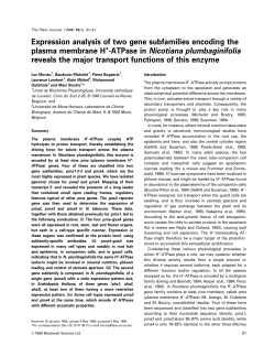 Expression analysis of two gene subfamilies encoding the plasma
