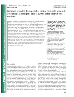 Melatonin promotes development of haploid germ cells from early