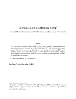 Economic Life in a Refugee Camp