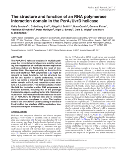 The structure and function of an RNA polymerase interaction domain