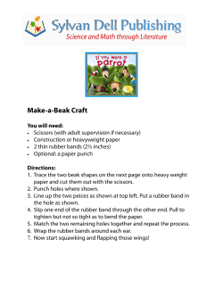 Make-a-Beak Craft - Arbordale Publishing