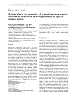 Nicotine affects the expression of brain